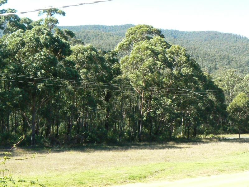 7 SCHOOL ROAD, CLUB TERRACE, Orbost VIC 3888