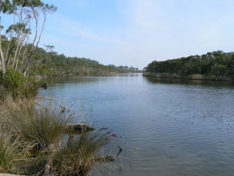 169 Healeys Road, Marlo VIC 3888