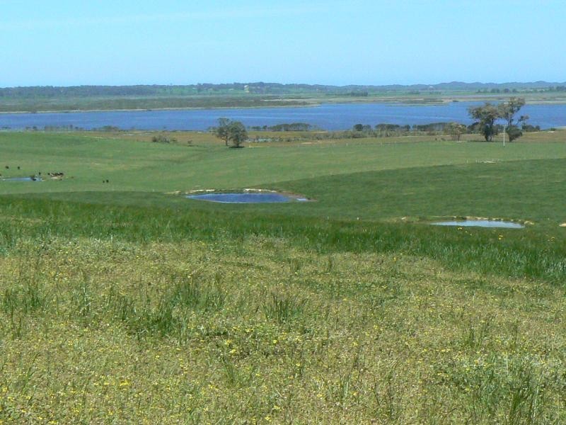 0 TABBARA ROAD, BRODRIBB, Orbost VIC 3888