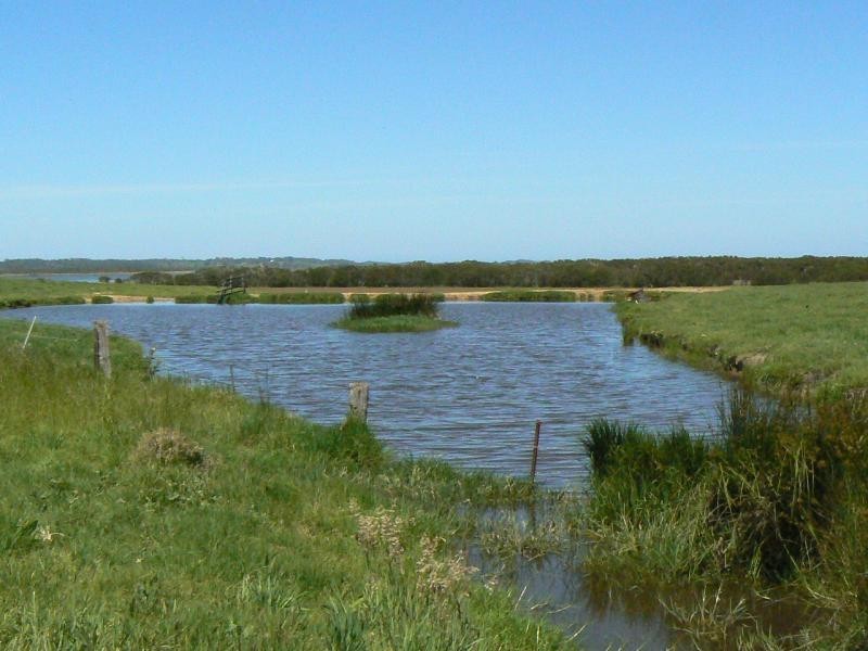 0 TABBARA ROAD, BRODRIBB, Orbost VIC 3888