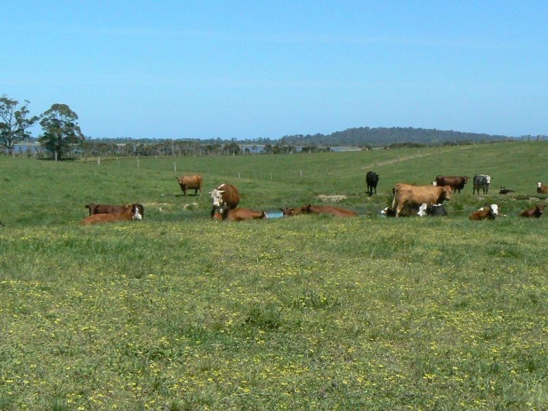 0 TABBARA ROAD, BRODRIBB, Orbost VIC 3888