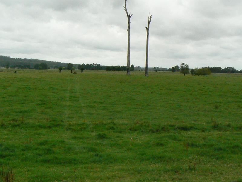 1139 MONARO HIGHWAY, Cann River VIC 3890