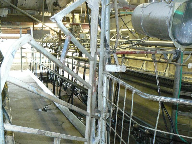 1139 MONARO HIGHWAY, Cann River VIC 3890