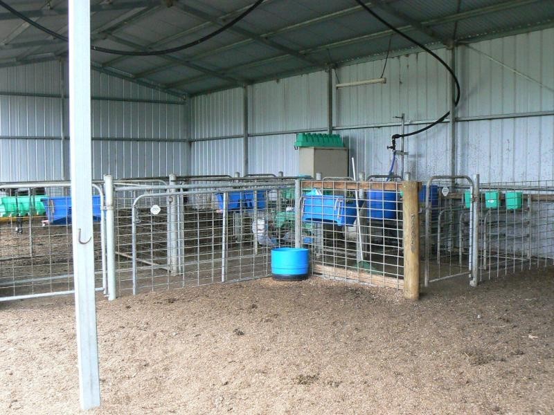 1139 MONARO HIGHWAY, Cann River VIC 3890