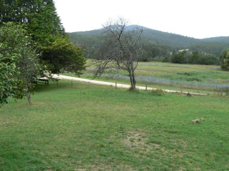 1161 West Cann Road, Cann River VIC 3890