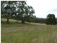 1161 West Cann Road, Cann River VIC 3890