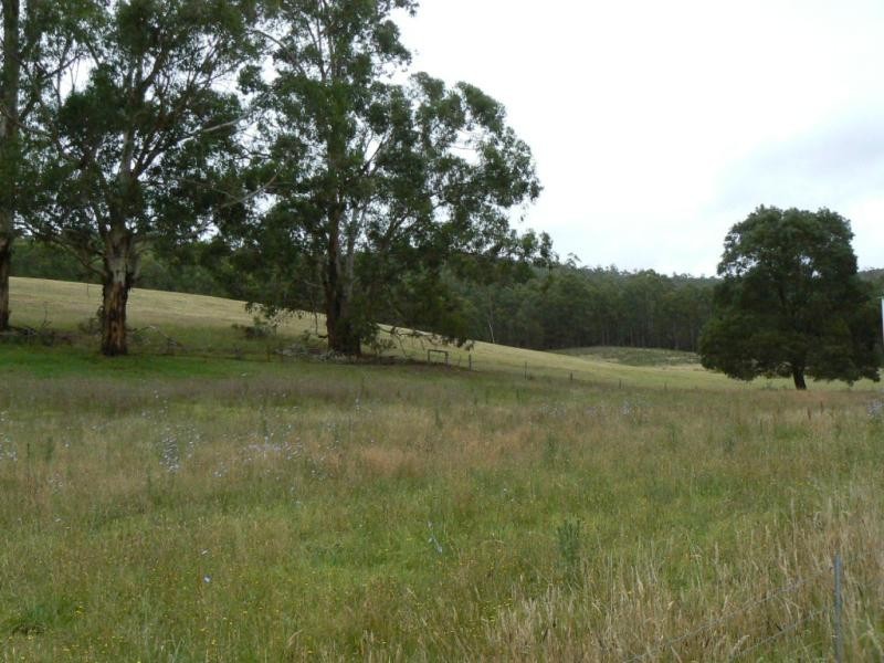 1161 West Cann Road, Cann River VIC 3890