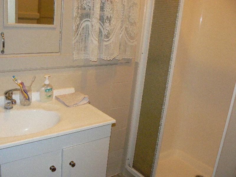 111 LIVINGSTONE STREET, Orbost VIC 3888