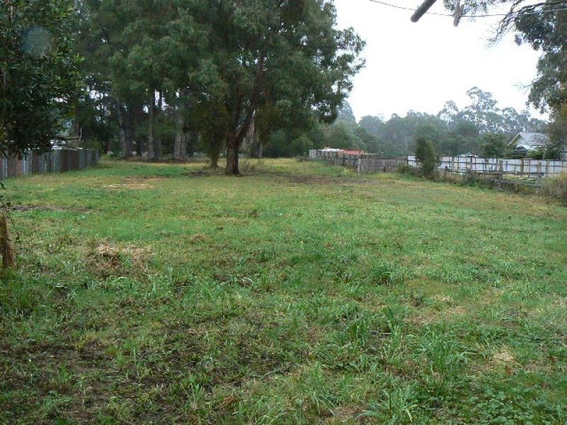19 TAMBOON ROAD, Cann River VIC 3890