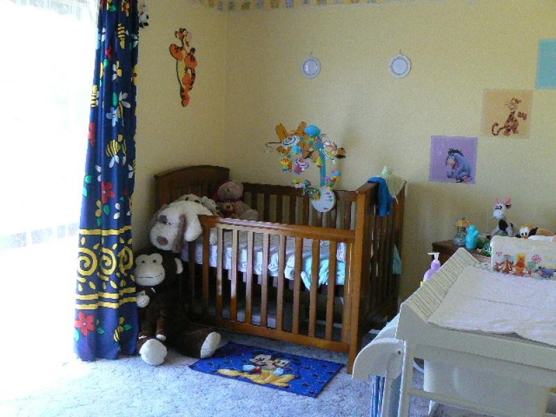 84 REED STREET, Orbost VIC 3888