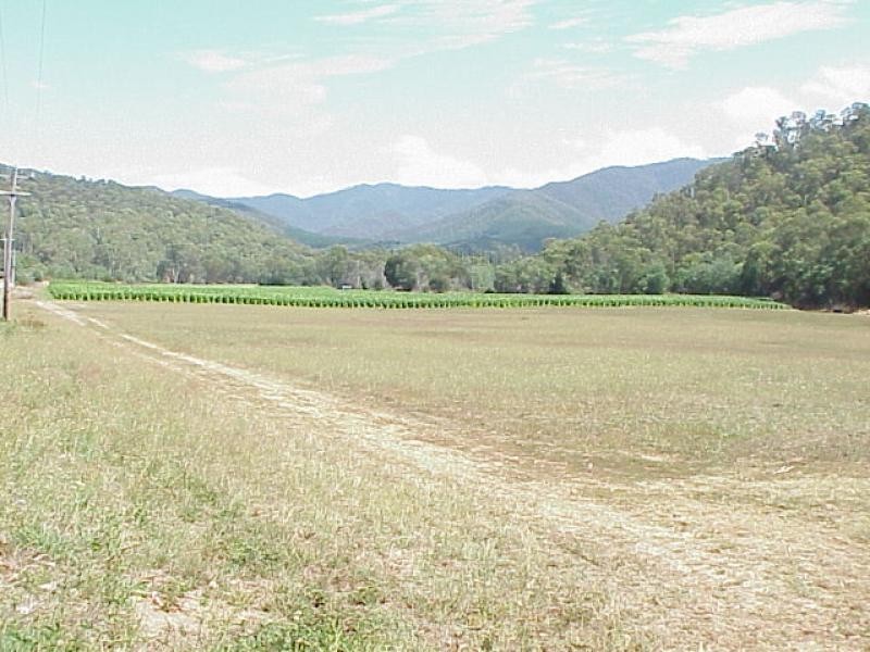 C.A. S19, Morses Creek Road,, Wandiligong VIC 3744
