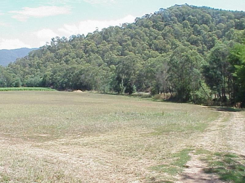 C.A. S19, Morses Creek Road,, Wandiligong VIC 3744