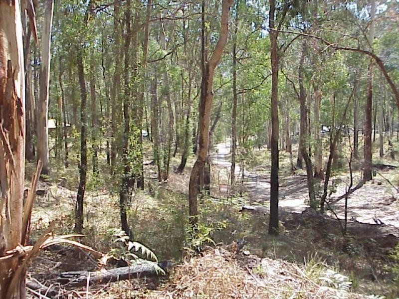 1 Dredgehole Lane, Harrietville VIC 3741