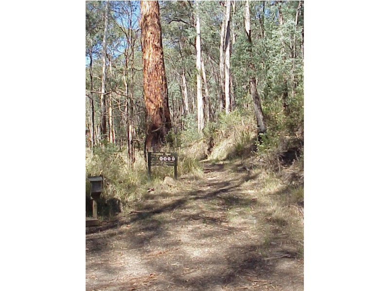 1 Dredgehole Lane, Harrietville VIC 3741