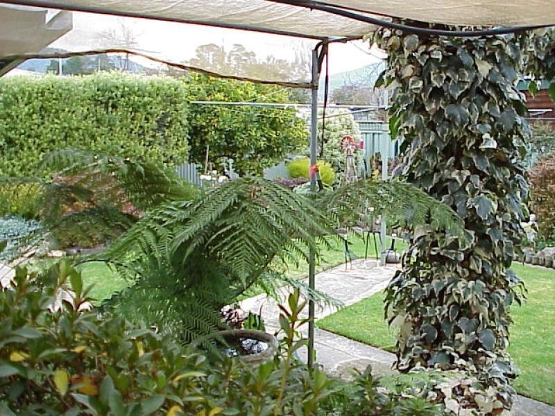 110 Lakeside Avenue, Mount Beauty VIC 3699