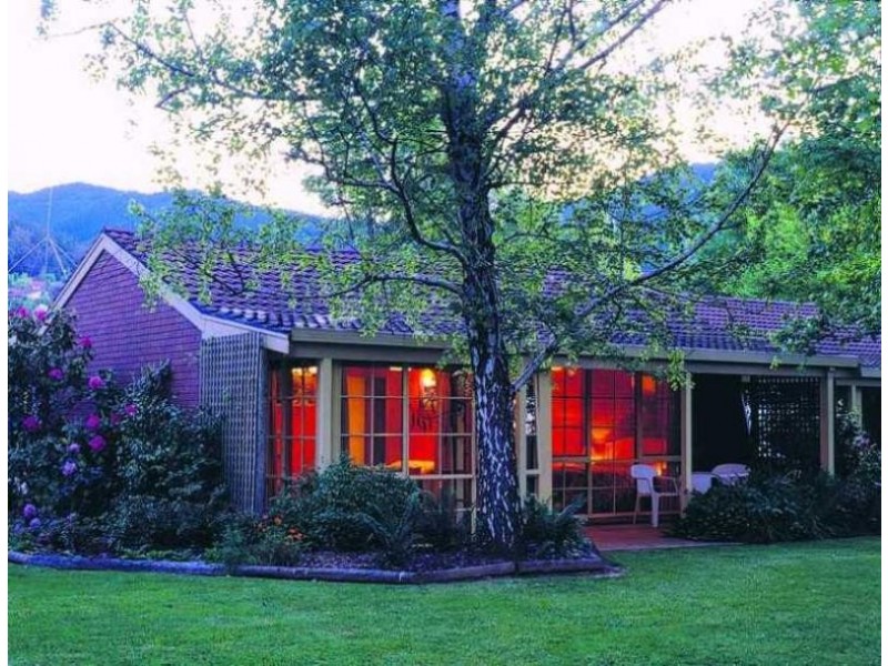 14 Gavan Street, Bright VIC 3741