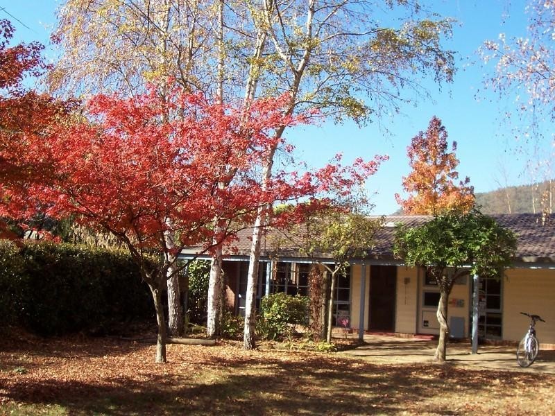 14 Gavan Street, Bright VIC 3741