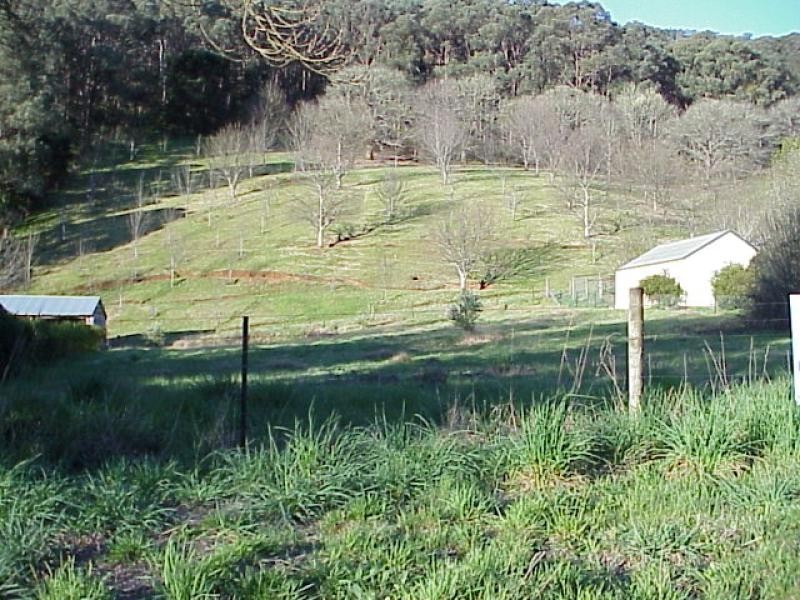 55 Williams Road, Wandiligong VIC 3744