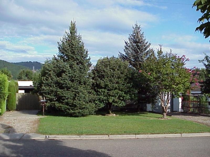 3 Station Street, Bright VIC 3741