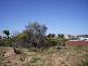 Geraldton WA 6530
