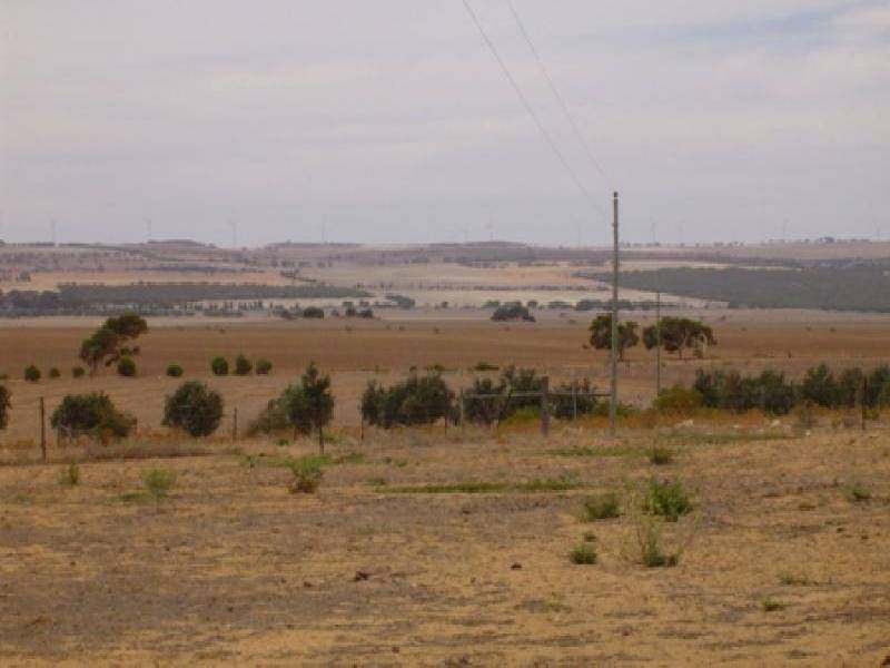 373 GREENOUGH ROAD, Walkaway WA 6528