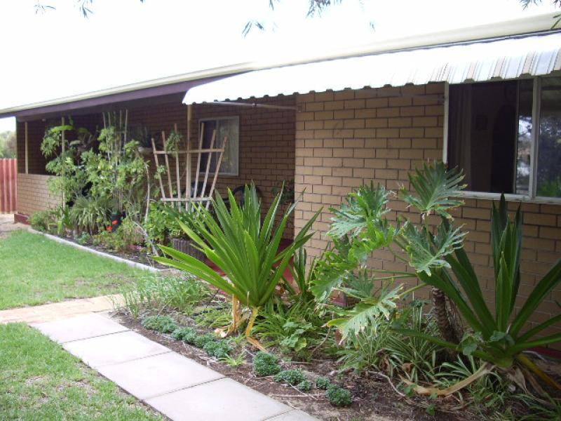 269 HALL ROAD, Waggrakine WA 6530