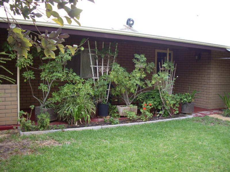 269 HALL ROAD, Waggrakine WA 6530