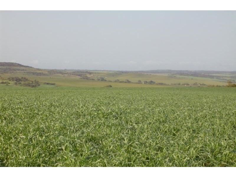 LOT 51/4562 NORTH WEST COASTAL HIGHWAY, Bowes WA 6535
