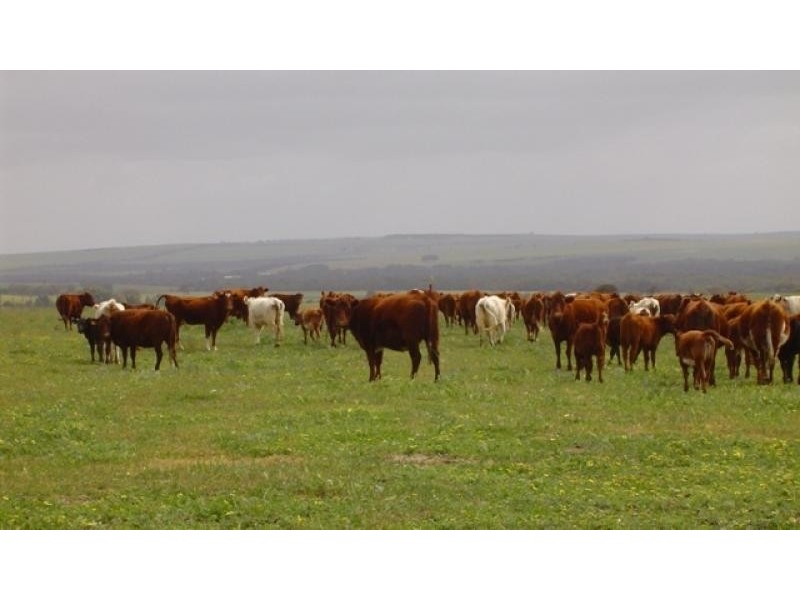 1 Milo Road, Irwin WA 6525