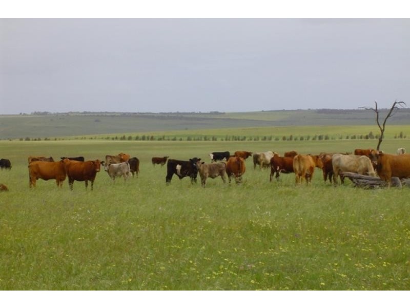 1 Milo Road, Irwin WA 6525