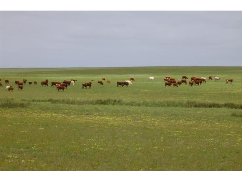 1 Milo Road, Irwin WA 6525