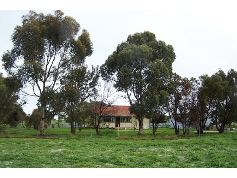 665 ALLANOOKA SPRINGS ROAD, Walkaway WA 6528