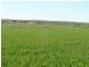 101 Valentine Road, North Eradu WA 6532