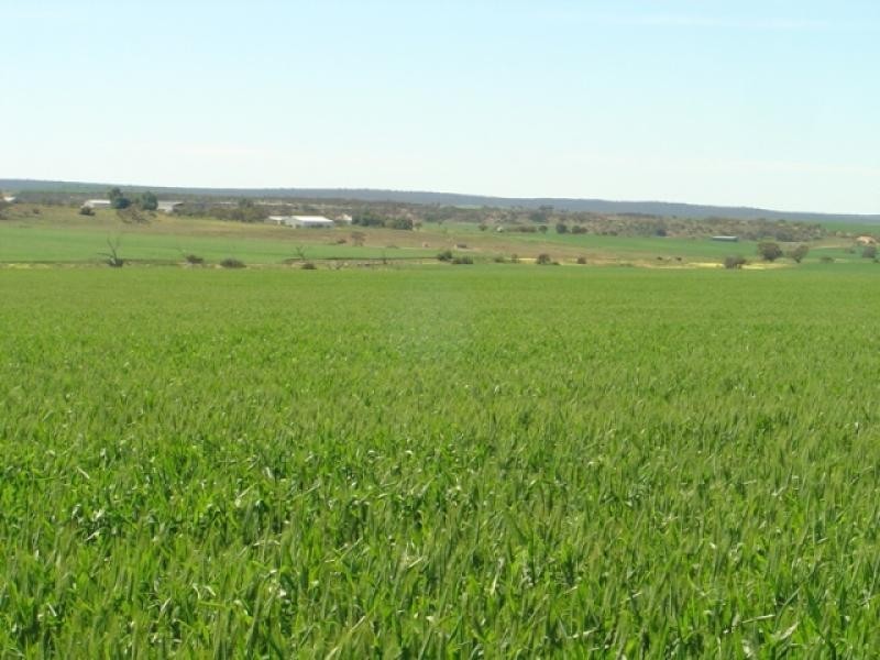 101 Valentine Road, North Eradu WA 6532