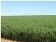 101 Valentine Road, North Eradu WA 6532