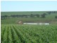 101 Valentine Road, North Eradu WA 6532