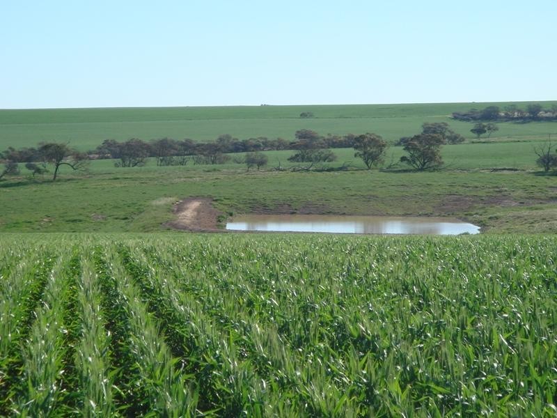 101 Valentine Road, North Eradu WA 6532