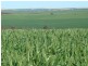 101 Valentine Road, North Eradu WA 6532