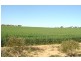 101 Valentine Road, North Eradu WA 6532