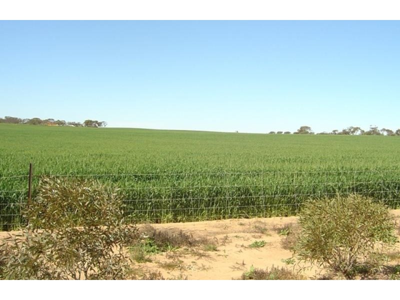 101 Valentine Road, North Eradu WA 6532