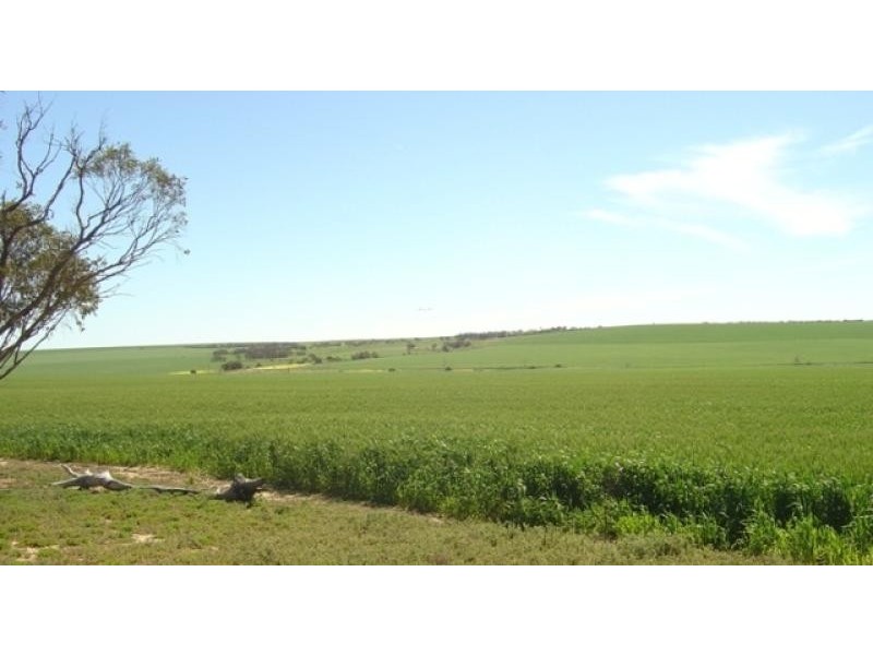 101 Valentine Road, North Eradu WA 6532