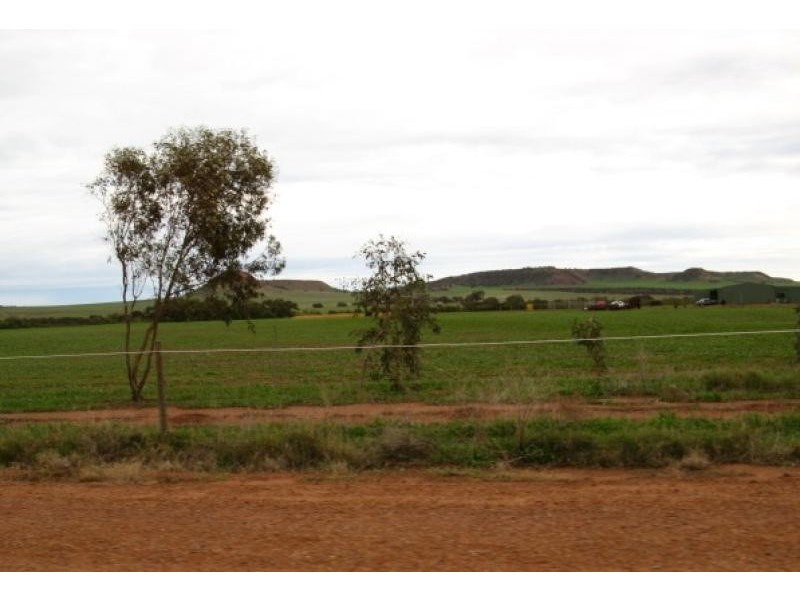 13 Hill River Way, Moonyoonooka WA 6532