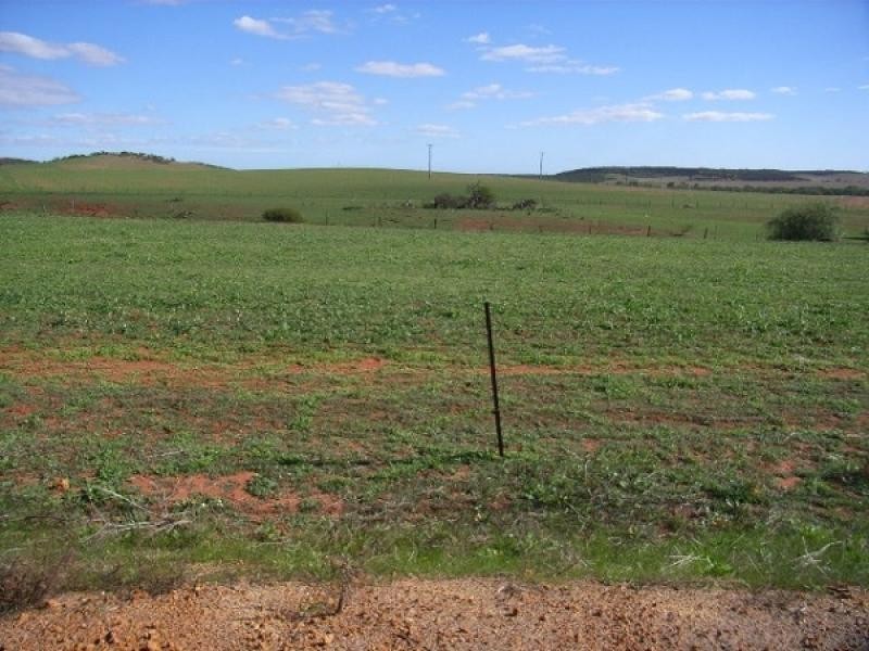 29 GREEN DRIVE, Nabawa WA 6532