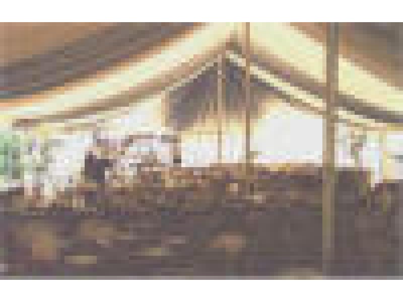 338 Company Road, Greenough WA 6532