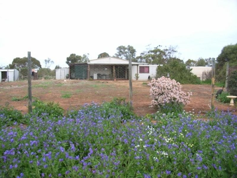 50 Isseka Road East, Isseka WA 6535