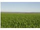 4890 GERALDTON-MT MAGNET RD, Eradu WA 6532