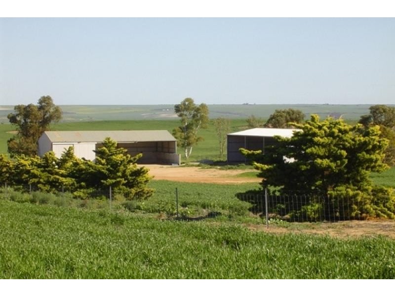 4890 GERALDTON-MT MAGNET RD, Eradu WA 6532