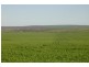 4890 GERALDTON-MT MAGNET RD, Eradu WA 6532