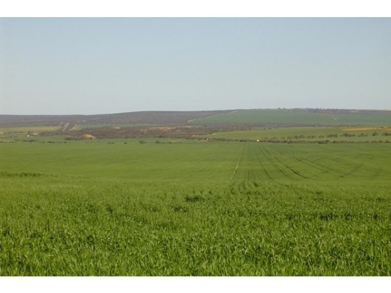4890 GERALDTON-MT MAGNET RD, Eradu WA 6532