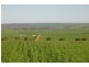 4890 GERALDTON-MT MAGNET RD, Eradu WA 6532